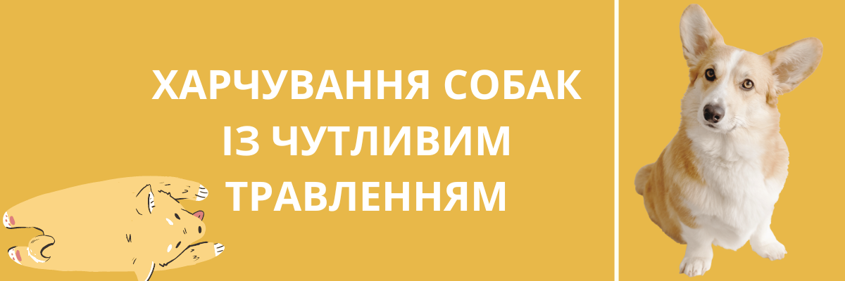 Харчування собак із чутливим травленням фото