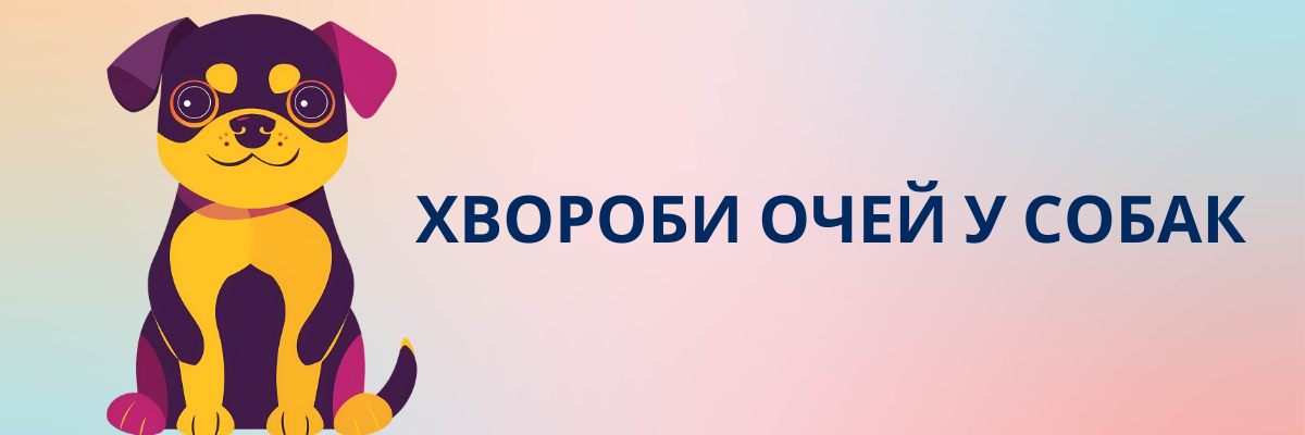 Хвороби очей у собак: cимптоми, діагностика та лікування фото