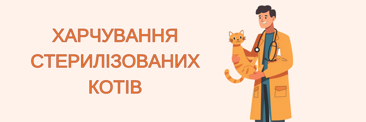 Особливості харчування стерилізованих котів фото