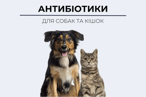 Антибіотики для собак та кішок фото