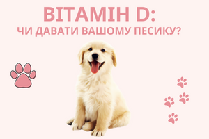 Витамин D: давать ли препарат вашей собачке фото
