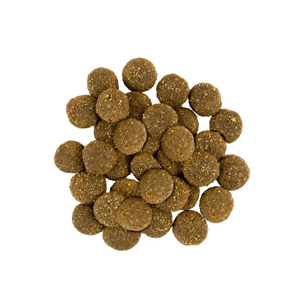 Сухой корм для собак крупных пород Savory Fresh Turkey & Lamb Adult Large Breeds индейка и ягненок 12 кг 30242 фото