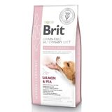 Сухий корм для собак при харчовій алергії Brit GF Veterinary Diet Hypoallergenic лосось 12 кг 170938/8035 фото