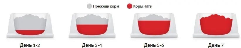 Сухой корм Hills Science Plan Adult Small Mini Lamb для взрослых собак маленьких пород с ягненком 6 кг 604319 фото