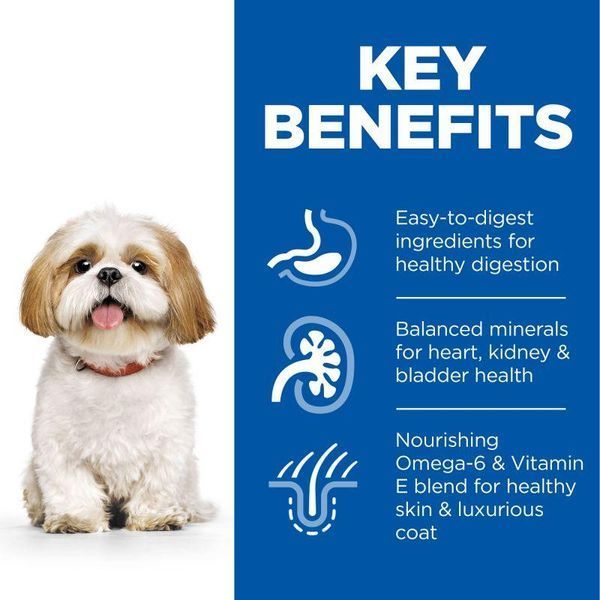 Сухой корм Hills Science Plan Small Mini Mature Adult 7+ Chicken для пожилых маленьких собак Хиллс с курицей 3 кг 604343 фото