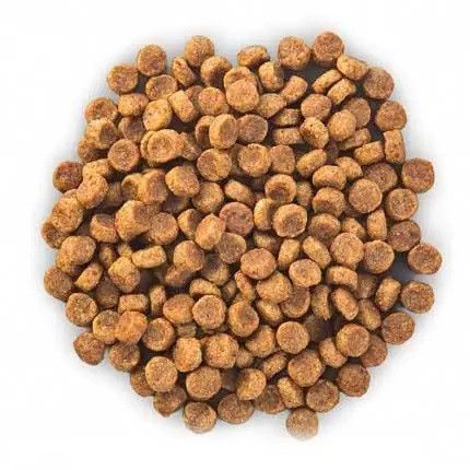 Сухий корм Hills Science Plan Small Mini Mature Adult 7+ Chicken для літніх маленьких собак Хіллс з куркою 6 кг 604321 фото