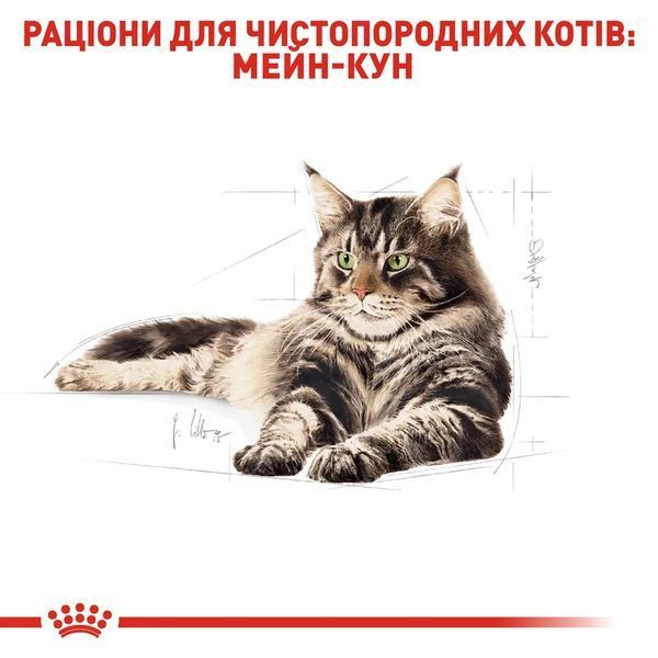 Сухий корм для дорослих котів породи мейн-кун Royal Canin Maine Coon Adult свійський птах 10 кг 2550100 фото