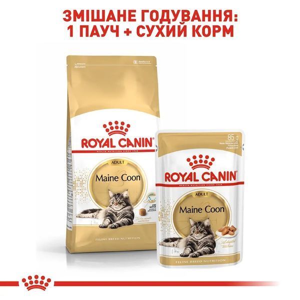 Сухий корм для дорослих котів породи мейн-кун Royal Canin Maine Coon Adult свійський птах 10 кг 2550100 фото