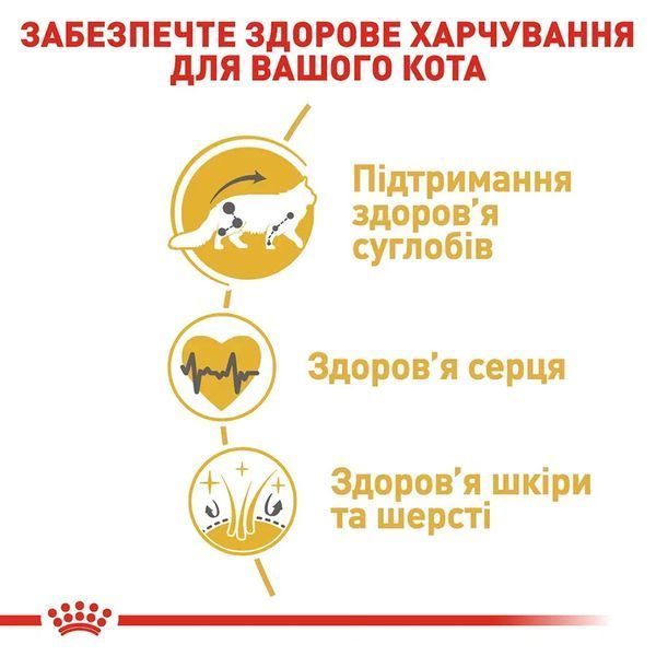 Сухий корм для дорослих котів породи мейн-кун Royal Canin Maine Coon Adult свійський птах 10 кг 2550100 фото