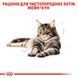 Сухий корм для дорослих котів породи мейн-кун Royal Canin Maine Coon Adult свійський птах 10 кг 2550100 фото 3