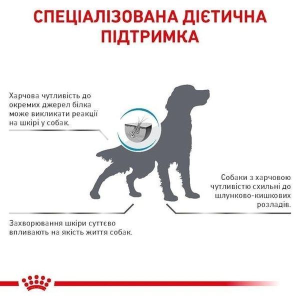 Сухий корм Royal Canin Anallergenic Dog дієтичний для собак при небажаній реакції на корм 3 кг 40140301 фото