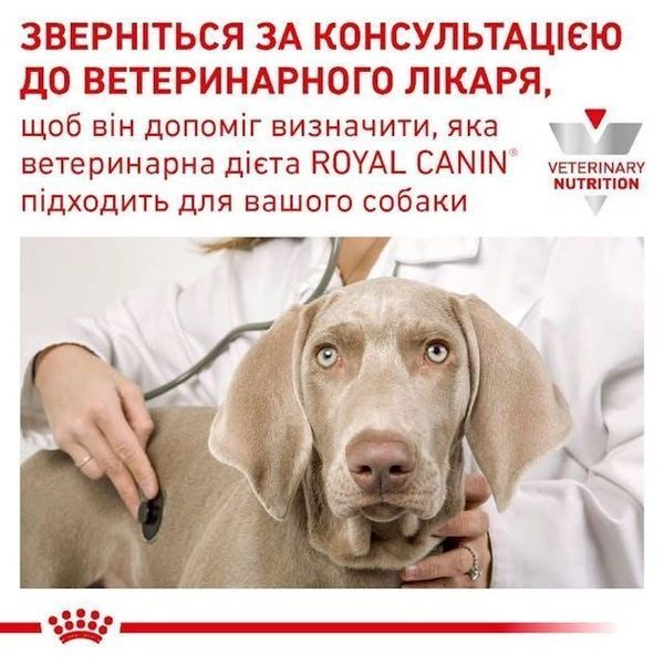 Сухий корм Royal Canin Anallergenic Dog дієтичний для собак при небажаній реакції на корм 3 кг 40140301 фото
