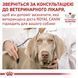 Сухий корм Royal Canin Anallergenic Dog дієтичний для собак при небажаній реакції на корм 3 кг 40140301 фото 2