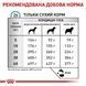 Сухий корм Royal Canin Anallergenic Dog дієтичний для собак при небажаній реакції на корм 3 кг 40140301 фото 6