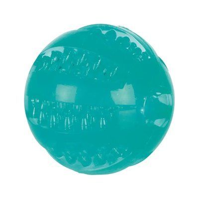 Игрушка для собак Trixie Мяч Denta Fun термопластичная резина d=6 см Бирюзовый 33680 фото