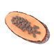 Сухой корм для взрослых собак всех пород Carnilove True Fresh TURKEY for Adult dogs индейка 4 кг 171543 фото 2