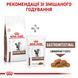 Сухой корм для кошек при заболеваниях желудочно-кишечного тракта Royal Canin Gastro Intestinal домашняя птица 4 кг 3905400 фото 6