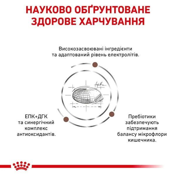 Сухий корм для котів при захворюваннях шлунково-кишкового тракту Royal Canin Gastro Intestinal Moderate Calorie домашній птах 400 г 40080041 фото