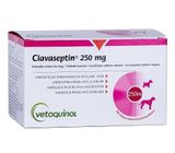 Антибіотик для собак та кішок Клавасептин (Clavaseptin) 250 мг Vetoquinol 10 табл - 1 т/20 кг VIT73762 фото