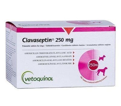 Антибиотик для собак и кошек Клавасептин (Clavaseptin) 250 мг Vetoquinol 10 табл - 1 т/20 кг VIT73762 фото
