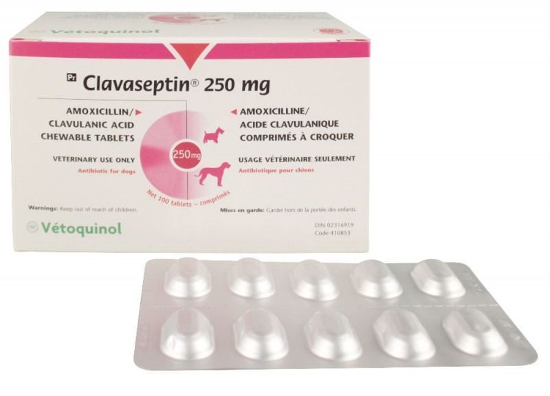 Антибіотик для собак та кішок Клавасептин (Clavaseptin) 250 мг Vetoquinol 10 табл - 1 т/20 кг VIT73762 фото