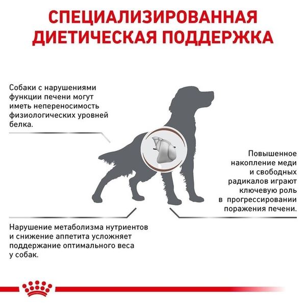 Сухий корм Royal Canin Hepatic Dog Cans для дорослих собак підтримка функції печінки при хронічній печінковій недостатності 1.5 кг 39270151 фото