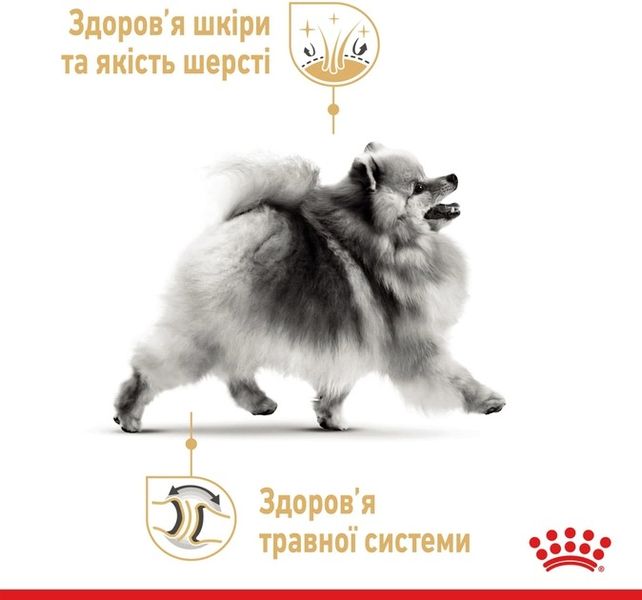 Сухий корм Royal Canin Pomeranian Adult для собак породи померанський шпіц 500 г 1255005 фото