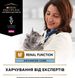 Лікувальний сухий корм для котів для котів при хронічній хворобі нирок Purina Veterinary Diets NF 1.5 кг 7613287886347 фото 8
