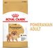 Сухой корм Royal Canin Pomeranian Adult для собак породы померанский шпиц 500 г 1255005 фото 2