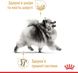 Сухий корм Royal Canin Pomeranian Adult для собак породи померанський шпіц 500 г 1255005 фото 6