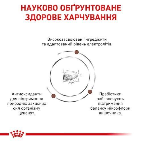 Сухий дієтичний корм для щенят Royal Canin Gastrointestinal Puppy при порушенні травлення 1 кг 3957010 фото