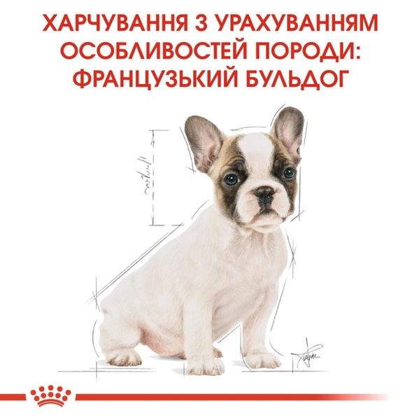 Сухий корм Royal Canin French Bulldog Adult для собак породи французький бульдог 1.5 кг 3991015 фото