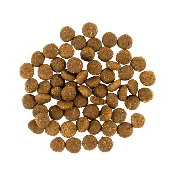 Сухий корм для цуценят Savory Puppy Fresh Turkey & Chicken індичка та курка 12 кг 30303 фото