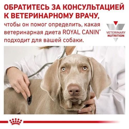 Сухой корм Royal Canin Gastrointestinal Dog для собак при нарушениях пищеварения 2 кг 39110201 фото