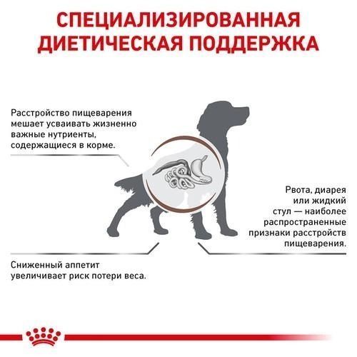 Сухой корм Royal Canin Gastrointestinal Dog для собак при нарушениях пищеварения 2 кг 39110201 фото