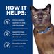Корм лікувальний Hill's Prescription Diet m/d для котів при цукровому діабеті з куркою 1.5 кг 605918 фото 7