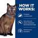 Корм лікувальний Hill's Prescription Diet m/d для котів при цукровому діабеті з куркою 1.5 кг 605918 фото 6