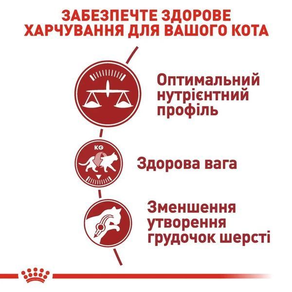 Сухой корм для кошек Royal Canin Fit домашняя птица 4 кг 2520040 фото