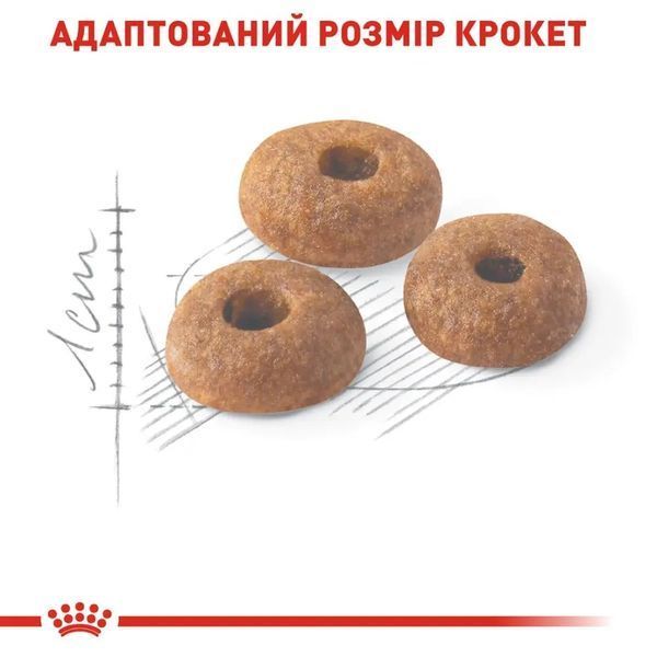 Сухой корм для кошек Royal Canin Fit домашняя птица 4 кг 2520040 фото