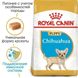 Сухий корм Royal Canin Chihuahua Puppy для цуценят породи чихуахуа 500 г 24380051 фото 2