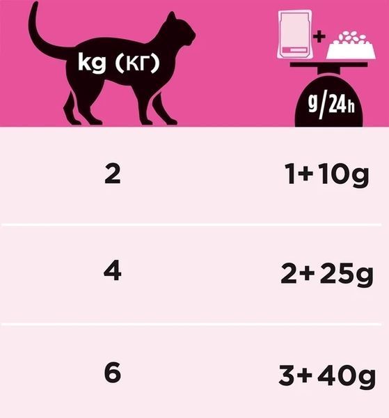 Вологий лікувальний корм для котів при сечокам'яній хворобі Purina Pro Plan Veterinary UR Urinary з куркою 85 г 7613035613331 фото