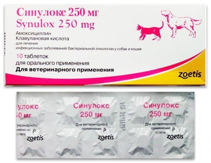 Антибіотик Zoetis Синулокс для лікування інфекційних захворювань у кішок та собак 250 мг 10 таблеток zoe00076 фото