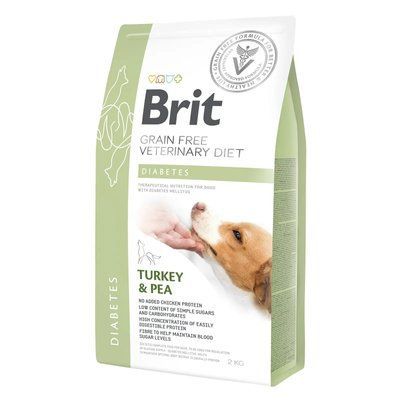 Сухий корм для собак при цукровому діабеті Brit GF Veterinary Diet Dog Diabetes 2 кг індичка 170943/8103 фото