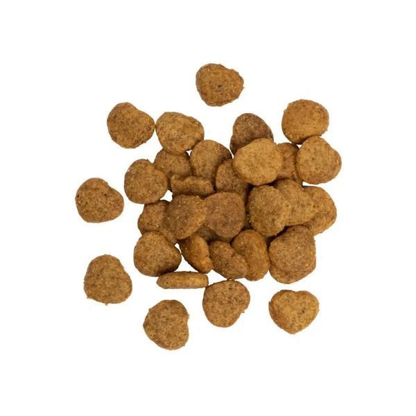 Ласощі для кошенят Savory Kitten 50 г індичка з журавлиною 31393 фото