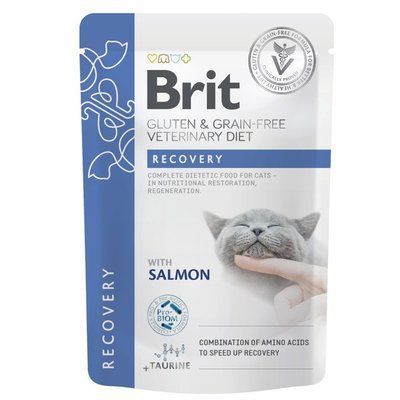 Влажный корм для кошек Brit GF VetDiet Recovery pouch Лосось 85 г 101116_1 фото