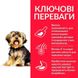 Сухий корм Hills Science Plan Adult Small Mini Sensitive Stomach Skin Chicken для маленьких собак з куркою 3 кг 604342 фото 2