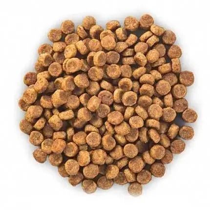 Сухой корм Hills Science Plan Adult Small Mini Sensitive Stomach Skin Chicken для маленьких собак с курицей 6 кг 604322 фото