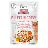 Влажный корм для кошек Brit Care Cat pouch 85 г филе индейки и лосося в соусе 100528/0501 фото