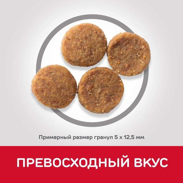 Сухий корм для дорослих собак середніх порід Hills Science Plan Adult Medium Chicken з куркою 14 кг 604354 фото