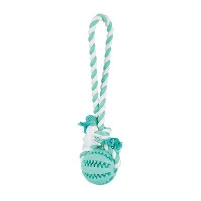 Игрушка для собак Trixie Мяч на верёвке с ручкой Denta Fun 24/7 см Бирюзовая 3299 фото